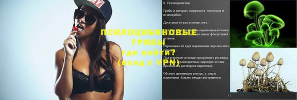 apvp Арсеньев