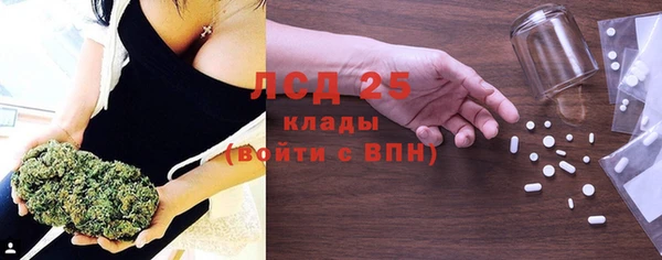 прущие грибы Алексин