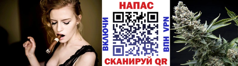 Бошки марихуана сатива  Нея 